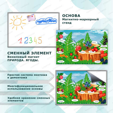 Комплект развивающий ПРИРОДА. ЯГОДЫ. 2193