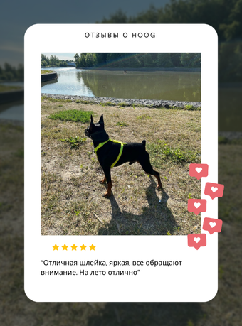 Холдер с гигиеническими пакетами Zee.Dog