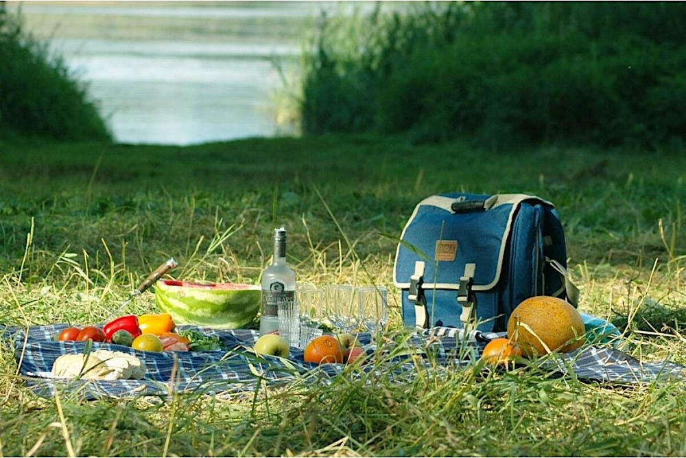 Набор для пикника CW  FL-003 Fiesta Gurman (на 4 персоны)
