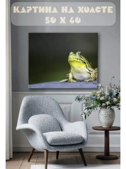 Картина на стену 40 X 50 Лягушка