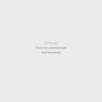 Плинтус деревянный Сосна, 55×3000 мм, сорт А