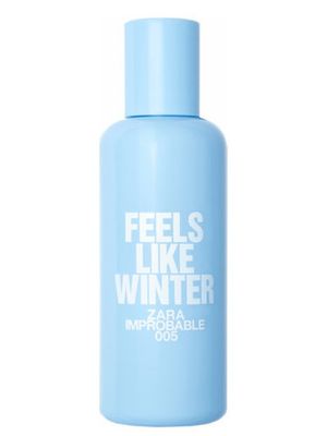 Zara 005 Feels Like Winter