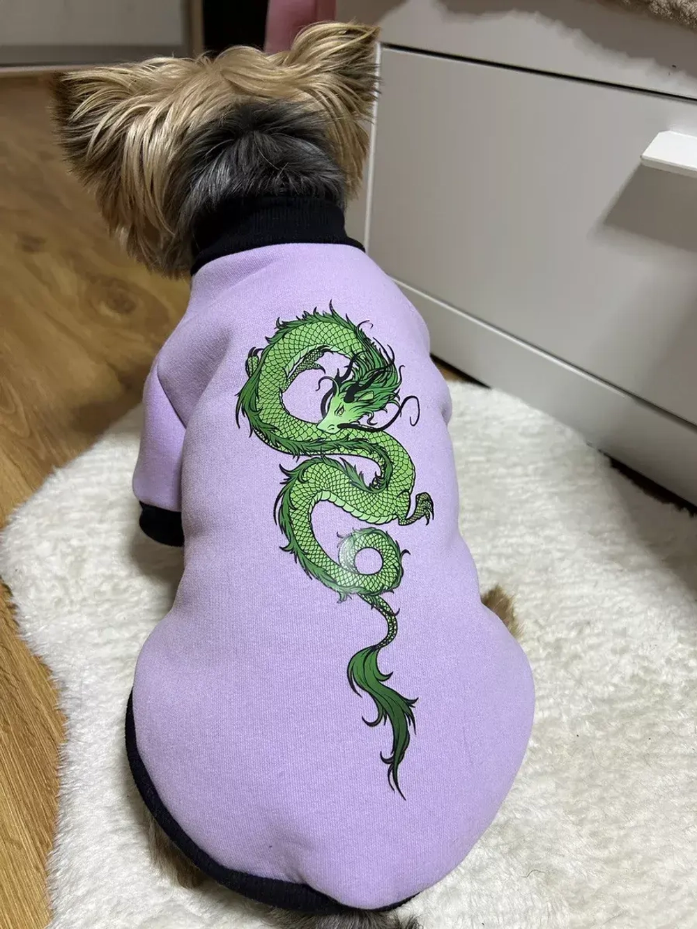 Толстовка для собак и кошек