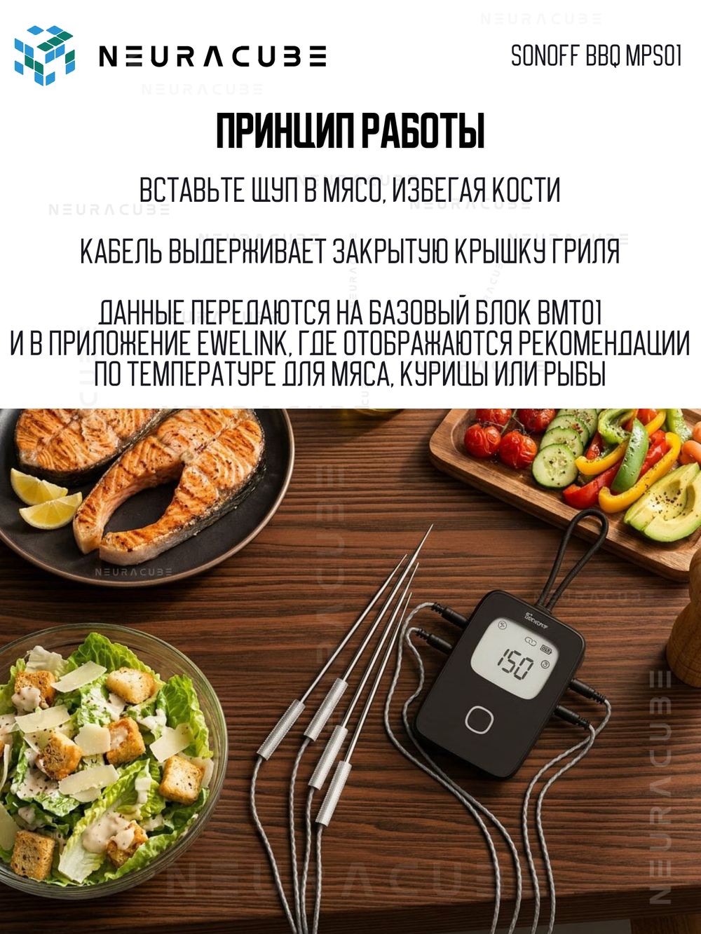 Сменный щуп BMT01 для термометра SONOFF BBQ MPS01 (2 шт.)