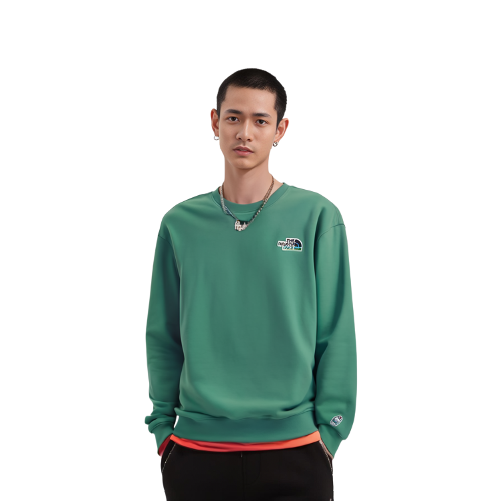 Толстовки THE NORTH FACE Essential, NM5MM04C