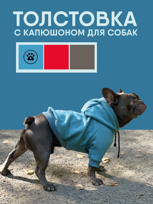 Толстовка для собак пород французского бульдога, мопса, голубой,M