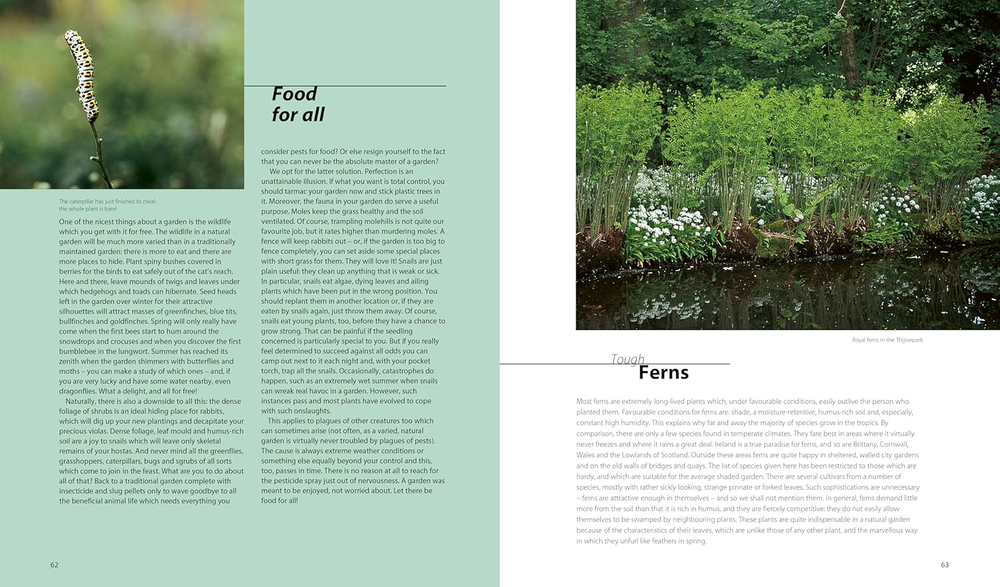 Dream Plants for the Natural Garden. Piet Oudolf