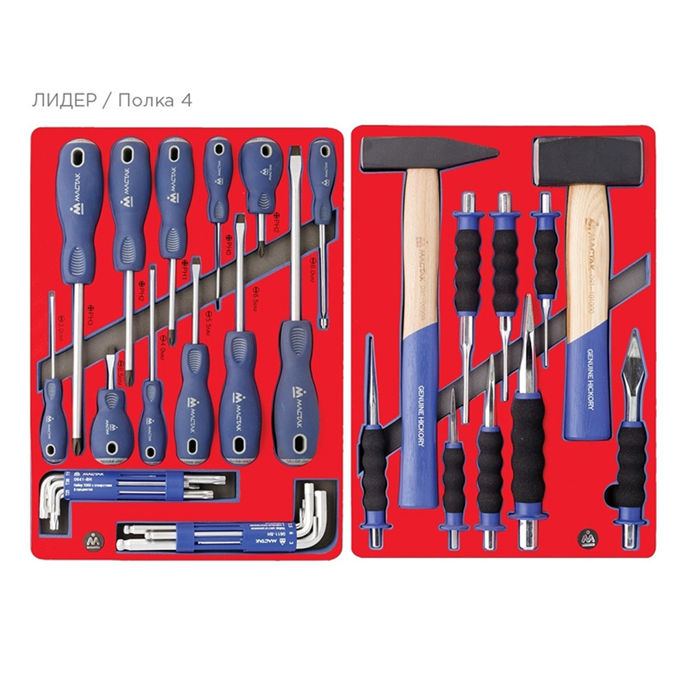 Набор инструментов &quot;ЛИДЕР&quot; в серой тележке, 270 предметов МАСТАК 52-06270G