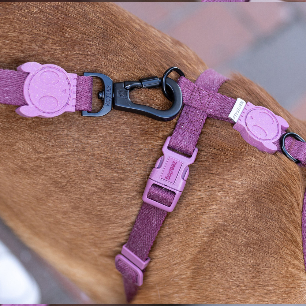 Поводок HIBISCUS NATURALS 120 см Zee.Dog