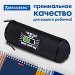 Пенал BRAUBERG 3 отделения нейлон 21х7х7 см "Battery" (2 штуки в упаковке)
