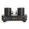 Mastersound 300B Monoblock Black Wood