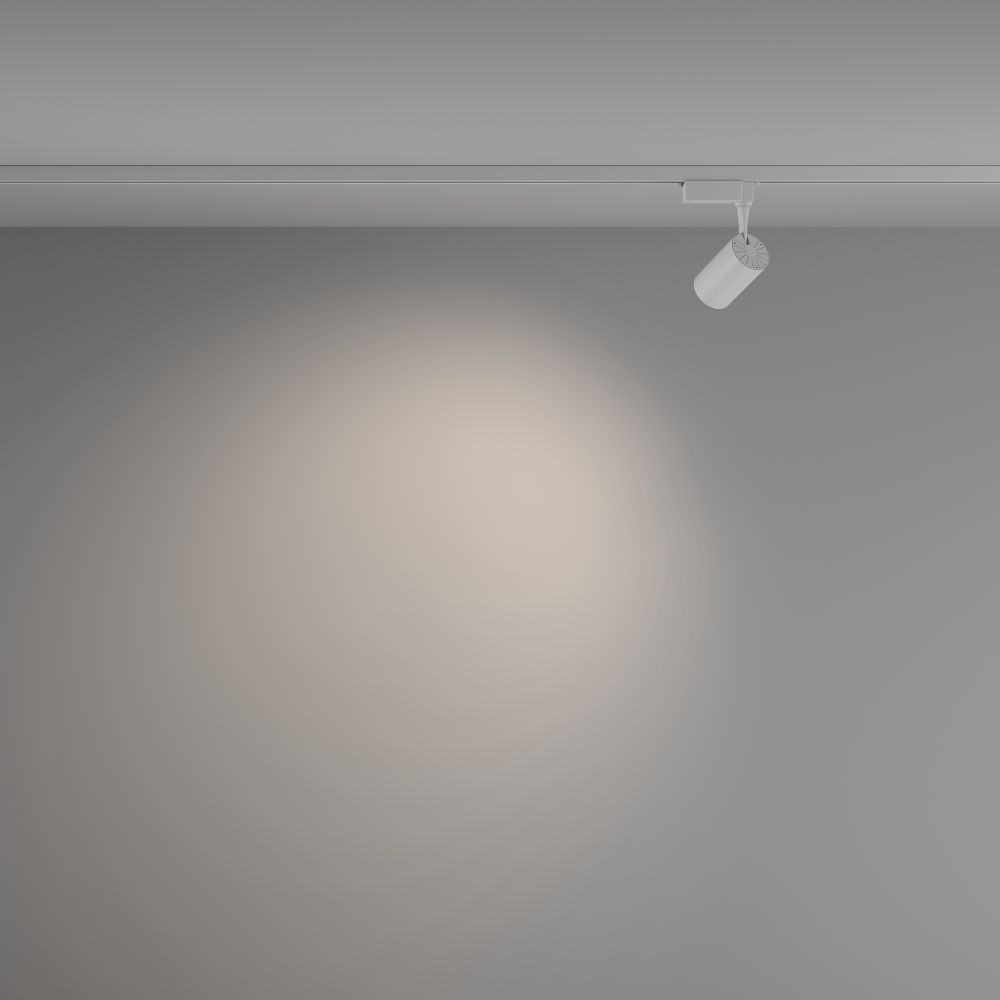 Трековый однофазный светодиодный светильник Maytoni Unity Vuoro TR003-1-6W4K-W-W