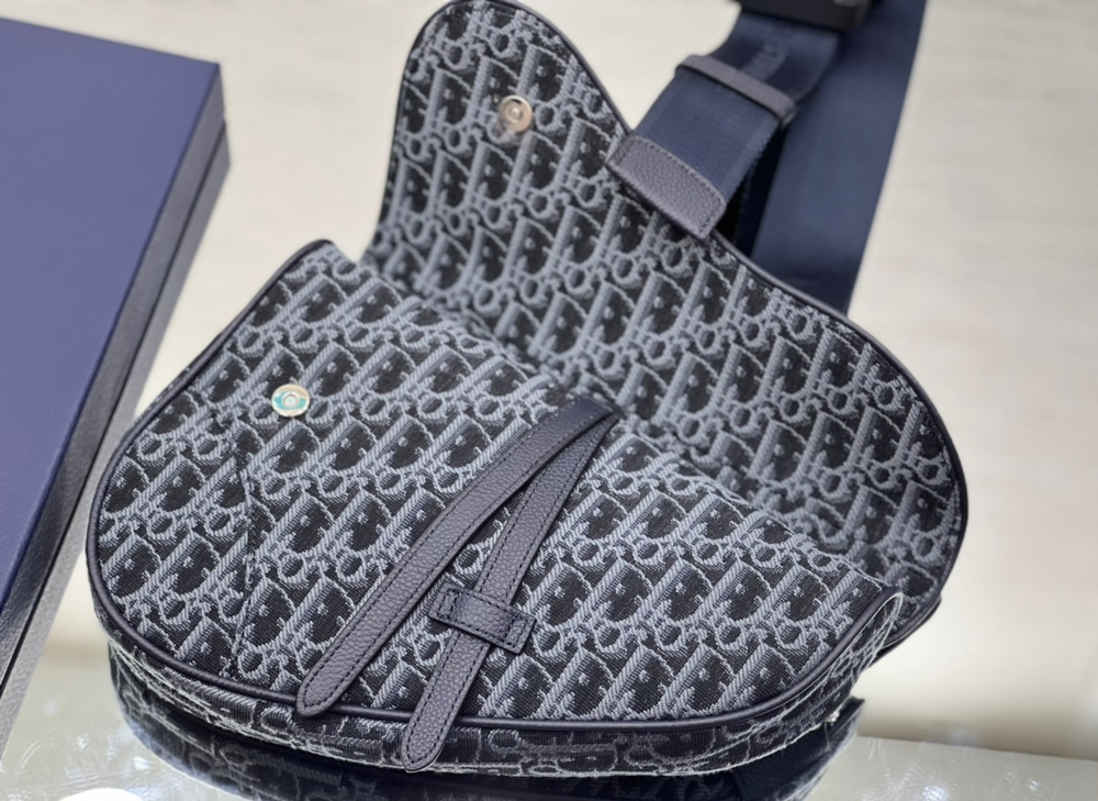Christian Dior Saddle 26 cm