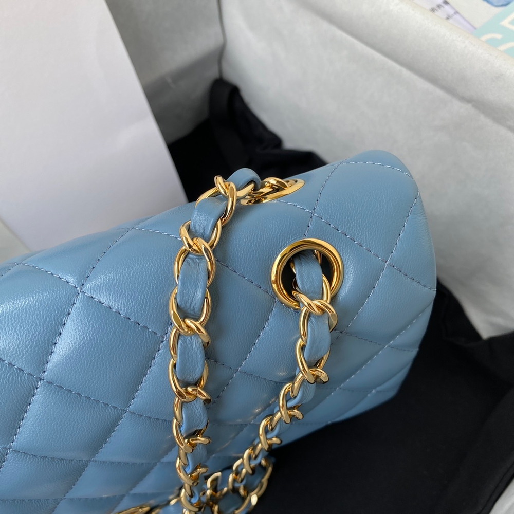 Chane1 Classic Flap Bag 25 cm