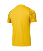 Футболка вратарская JOGEL PREMIER PerFormDRY GK Jersey Yellow, желтый