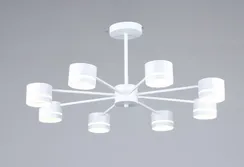 6900/8 WT (1) Люстра (RL) #