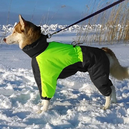 Комбинезон зимний для собаки White Wolf лимонно-черный