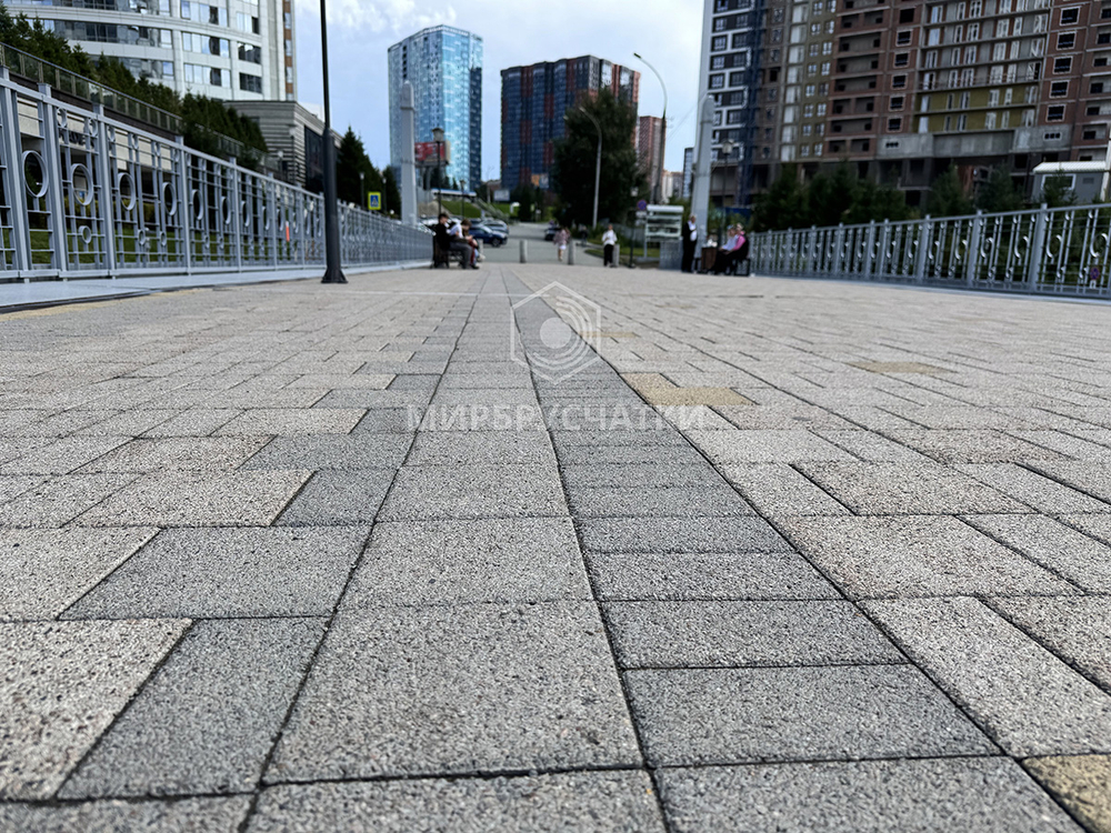 Сибревкомовский мост, г. Новосибирск