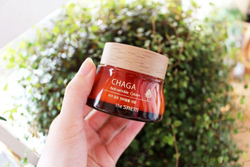 The Saem Chaga Anti-Wrinkle Cream крем для лица антивозрастной с экстрактом Чаги