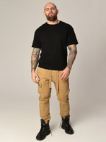Джоггеры Abercrombie & Fitch AB620