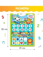 Обучающий плакат Первые знания