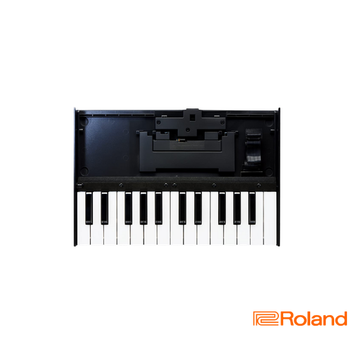 Roland Boutique K-25m