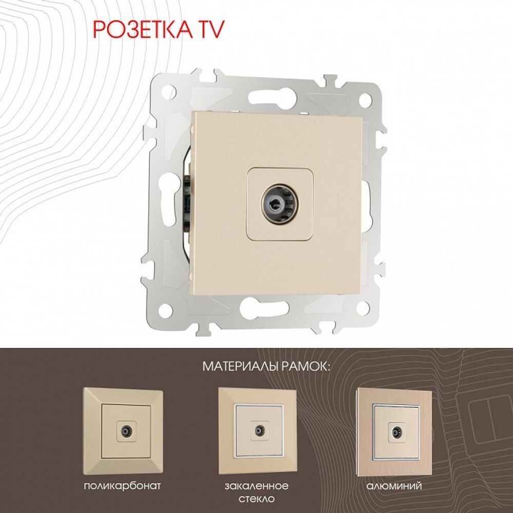 ТВ-розетка без рамки Arte Milano am-203 203.43-1.shampan