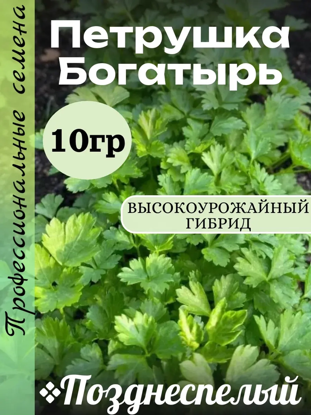 Семена Петрушка Богатырь 10 грамм