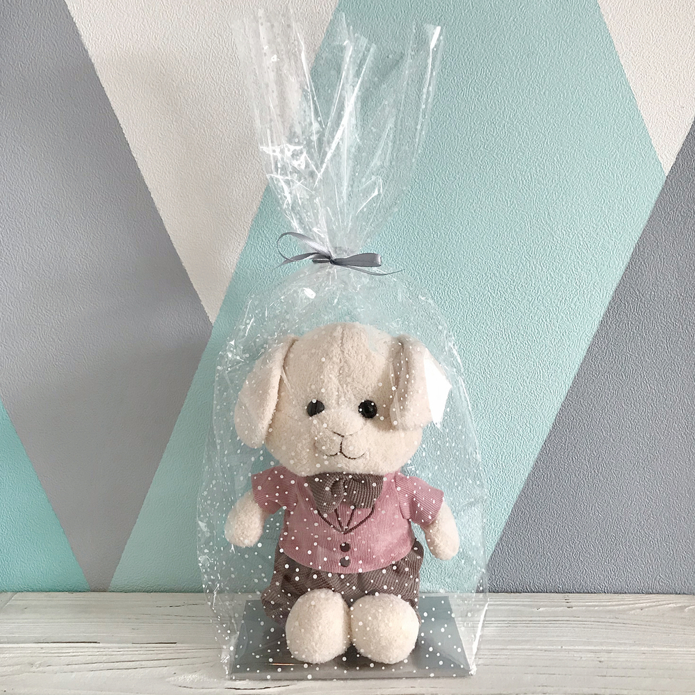 Прозрачный пакет с жестким дном, 11х17х60 см