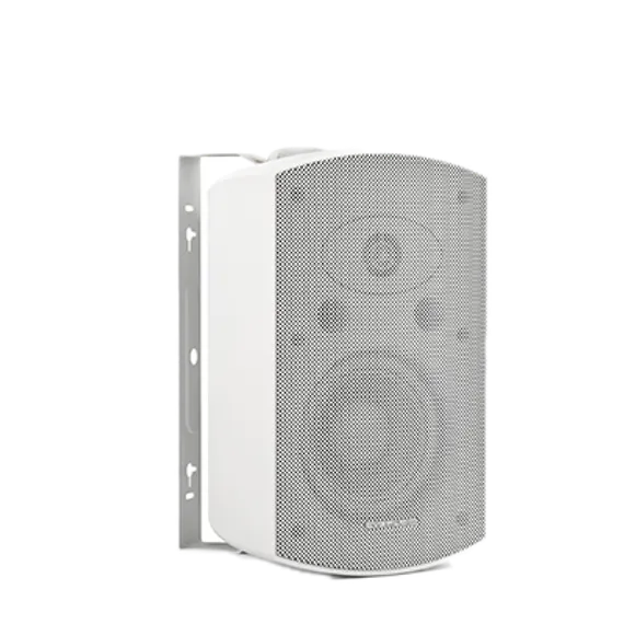 CVGAUDIO ODF608TW настенная акустическая система, мощность 5/10/20/40W в 100V