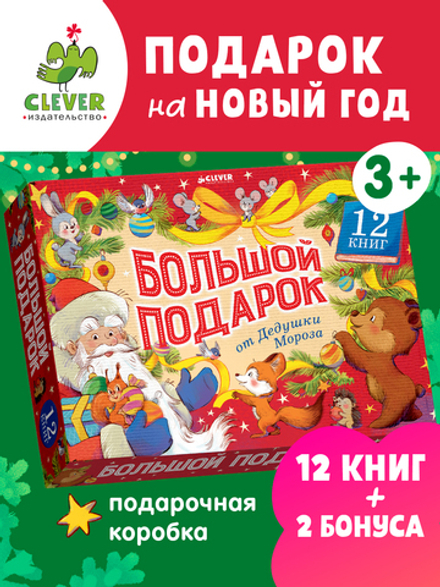 Большой подарок от Дедушки Мороза. Комплект из 12 книг