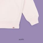  Толстовка мужская Dickies Enterprise Sweatshirt артикул:DK0A4Z4KF901 - купить в магазине Дайс