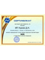 Моторное масло 5W-30 PROFI A-LINE 1л синтетика