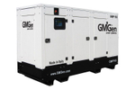 Дизельный генератор GMGen Power Systems GMP165