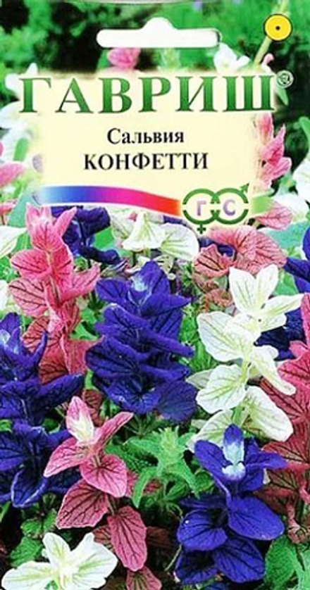 Сальвия Конфетти