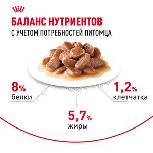 Пауч Royal Canin Mini Ageing 12+ для стареющих собак мелких размеров в возрасте старше 12 лет