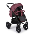 Коляска 3 в 1 Alis Berta