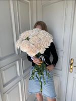 Моно букет из нежных диантусов