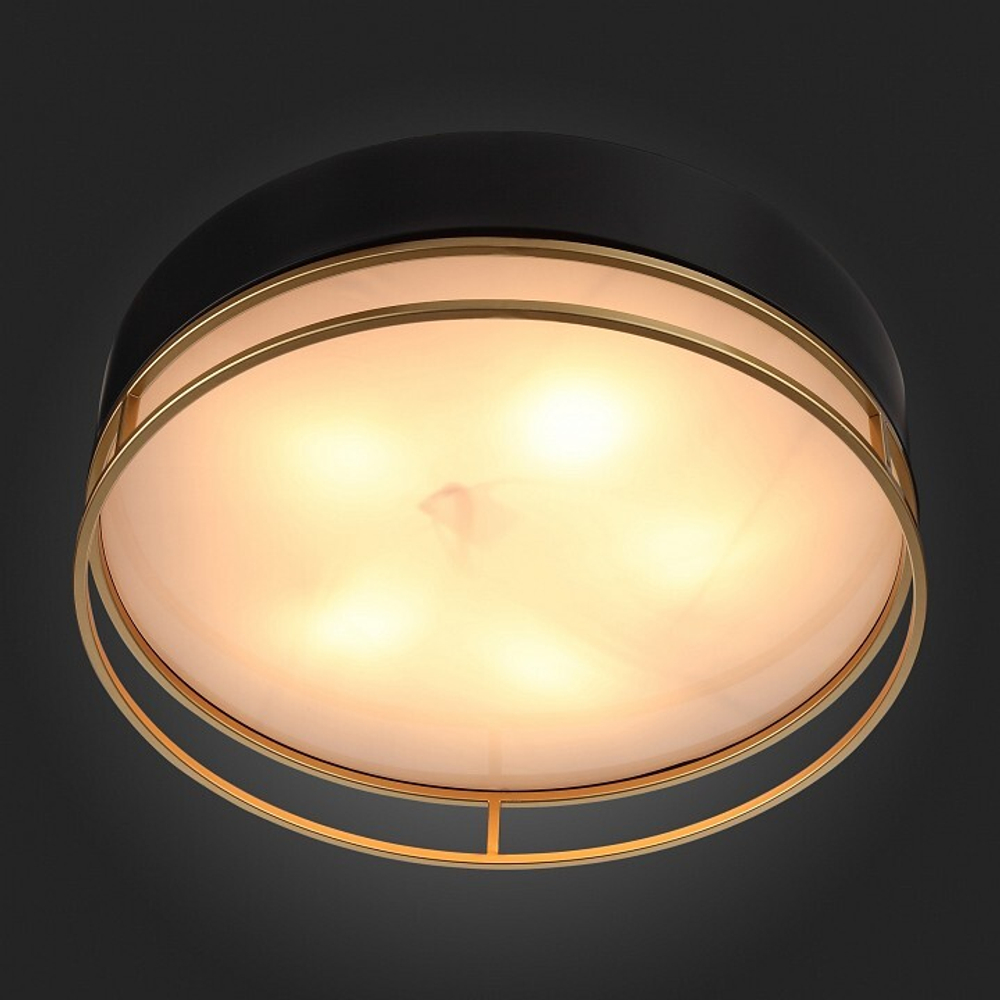 Накладной светильник ST-Luce SL1127.432.05