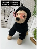 Комбинезон Тедди для собак и кошек