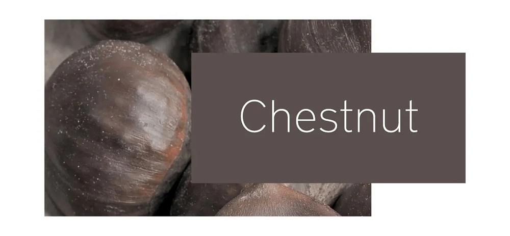 Автокресло Nuna PRUU 0-1 (40-105 см, 0-19 кг) Chestnut
