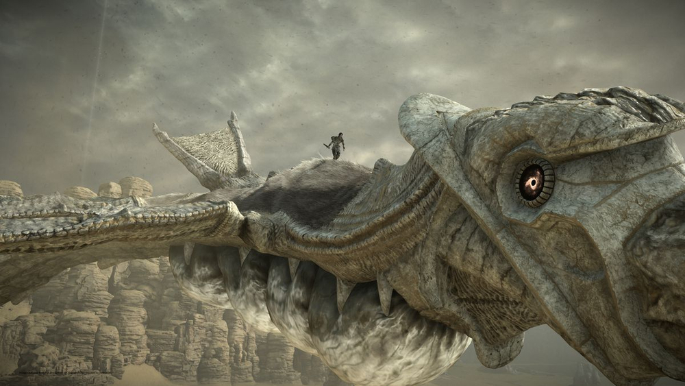 Shadow of the Colossus [PS4] б/у