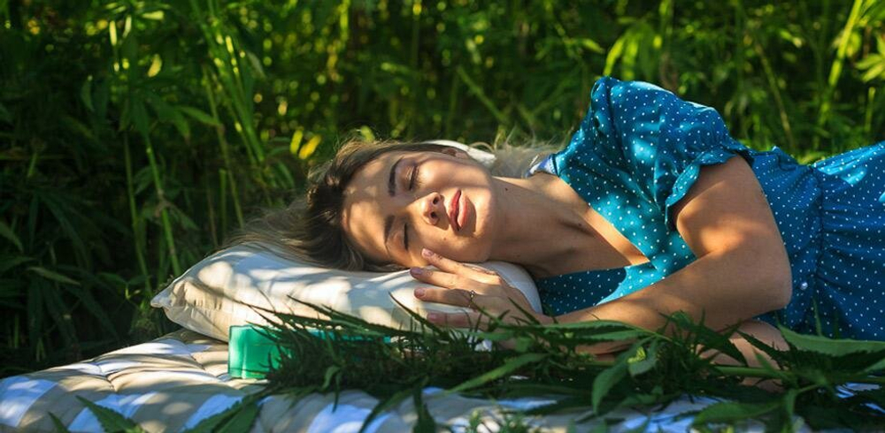 Матрас Mr. Mattress Amnesia XL, независимые пружины