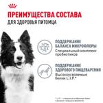 Royal Canin Medium Digestive Care Корм сухой для взрослых с чувствительным пищеварением 3 кг