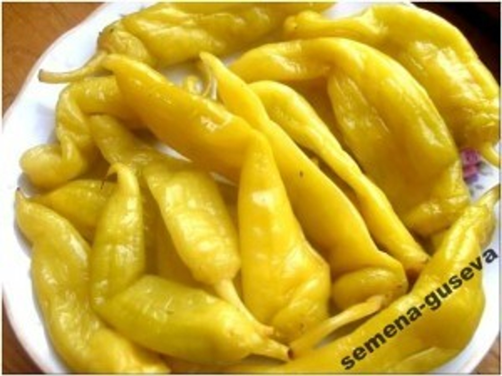 Перец Бочковой — Golden Yellow Wax