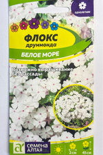 Флокс Друммонда Белое море 0,1 г СМЦ-272