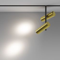 Трековый светильник светодиодный Maytoni Exility   TR005-2-2X12W4K-BBS