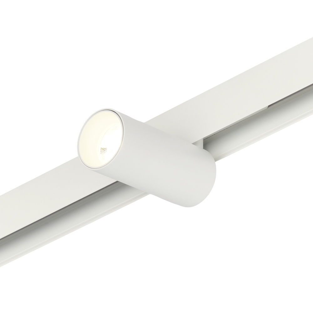 Трековый магнитный светодиодный светильник 12W 48V MyFar Ray MT0220-12W4K-W