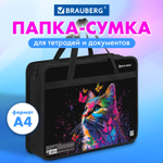 Папка на молнии с ручками BRAUBERG А4 1 отделение пластик 80 мм "Butterfly catcher" (3 штуки в упаковке)