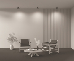 Потолочный светильник Technical C009CW-L16B